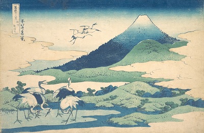 富岳14