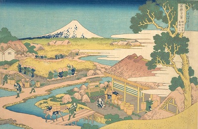 富岳44