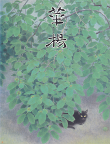 山口華楊